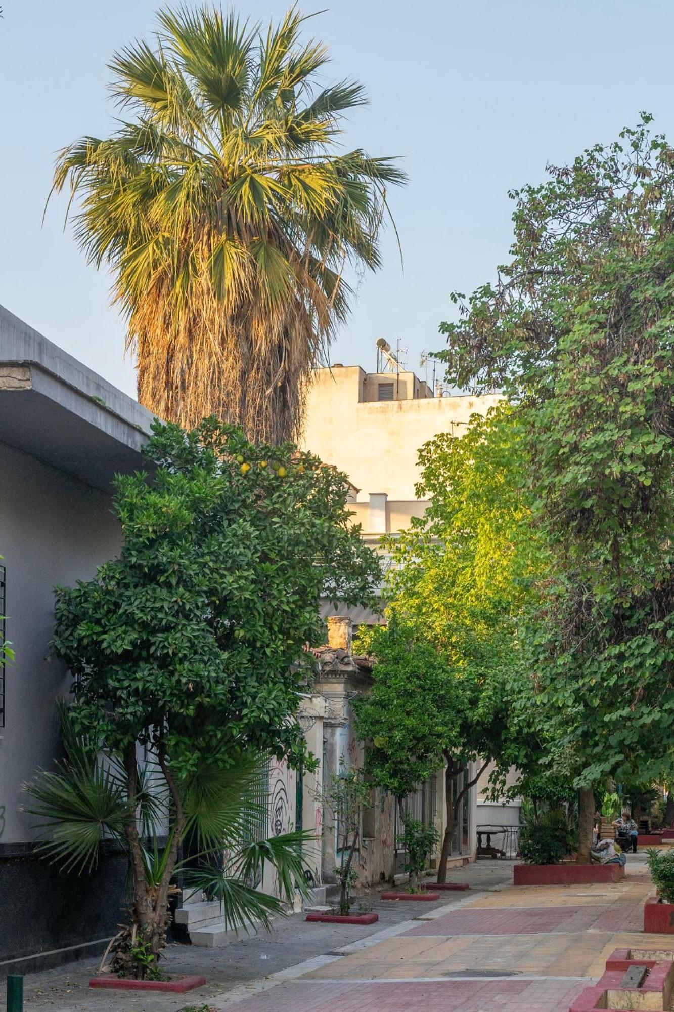 Luxury 1br Flat In The Heart Of דירה אתונה