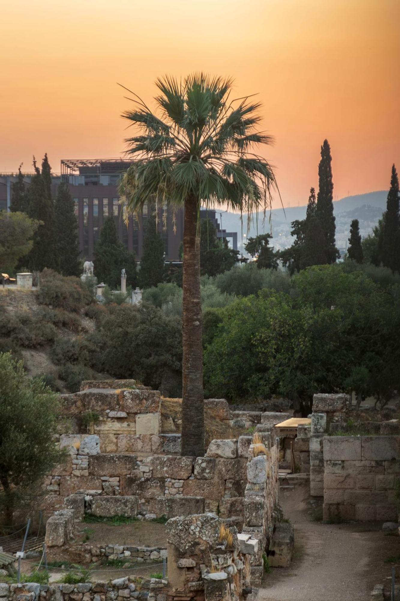 Luxury 1br Flat In The Heart Of אתונה